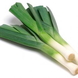 leek